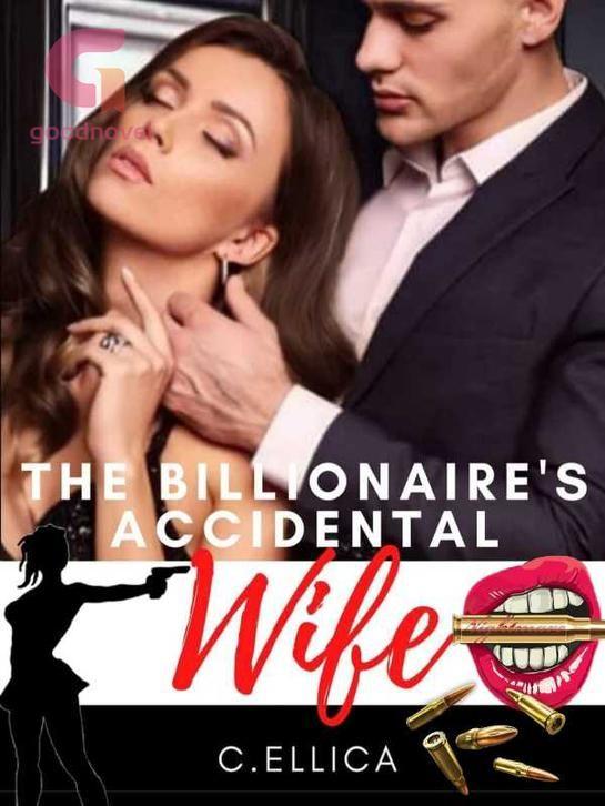 Billionaires Accidental Wife's Book Image