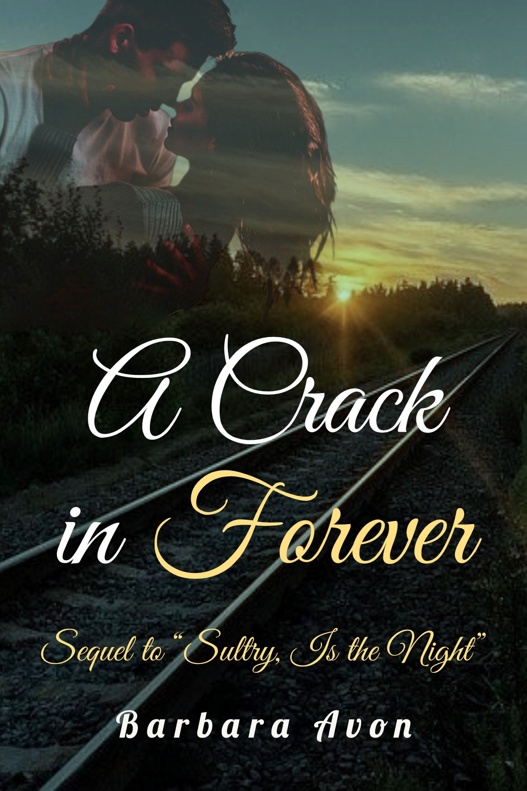 A Crack in Forever's Book Image