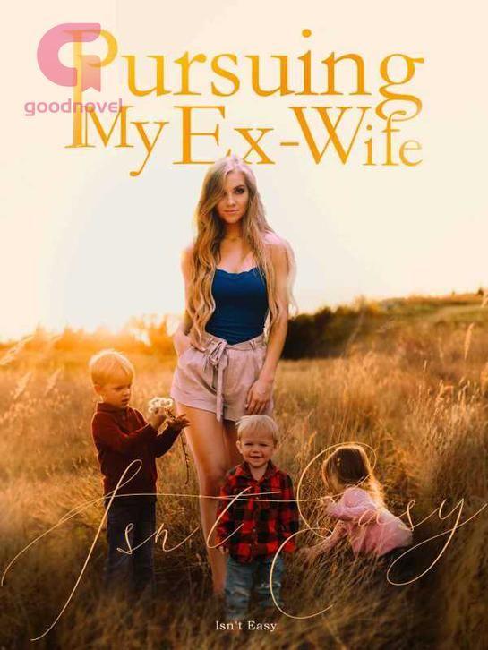 Pursuing My Ex Wife Isnt Easy's Book Image