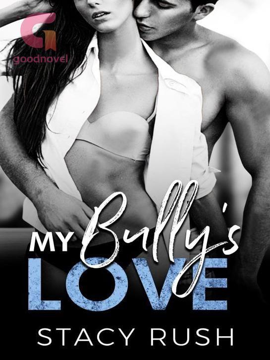 My Bully's Love's Book Image
