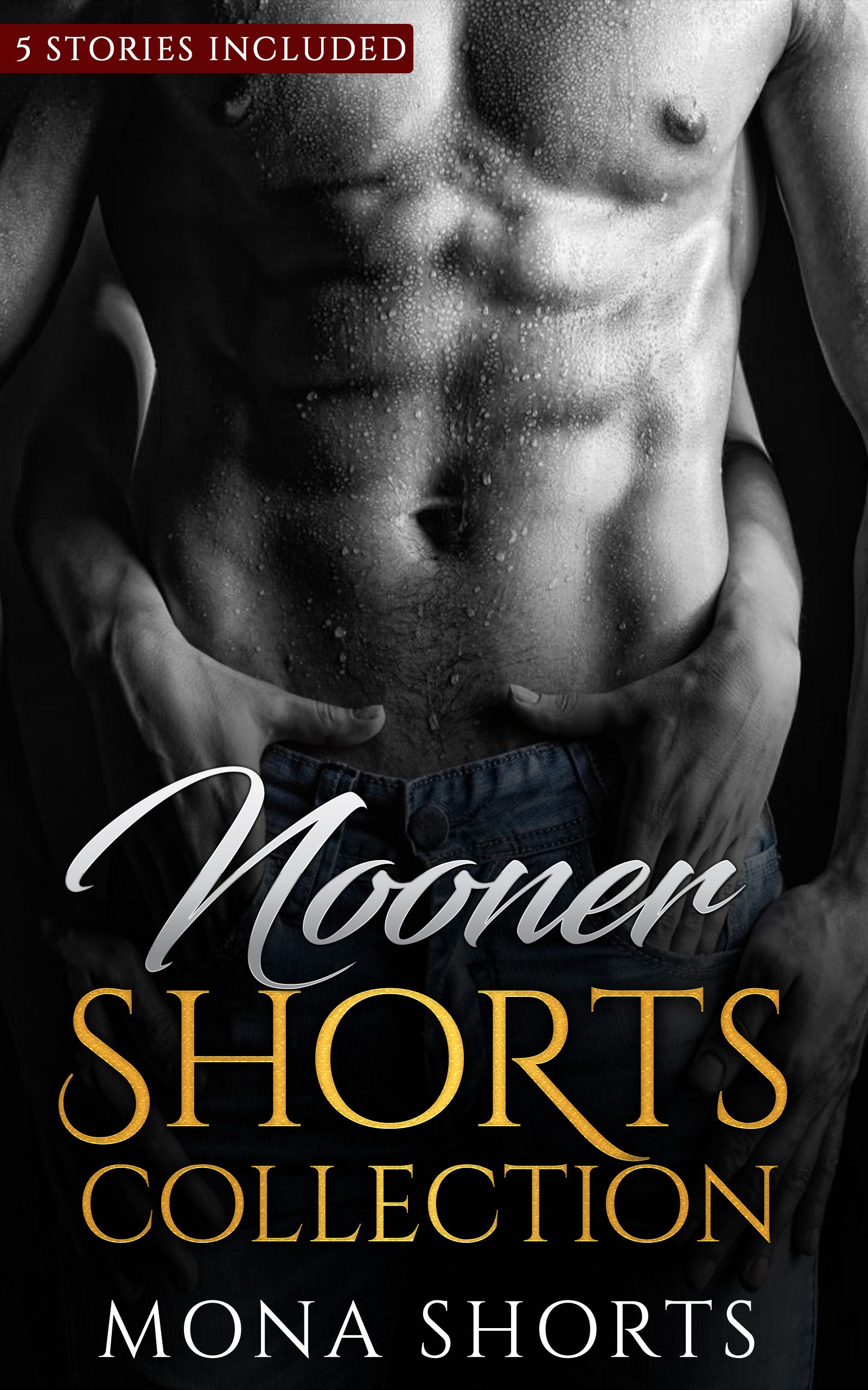 Nooner Shorts Collection's Book Image