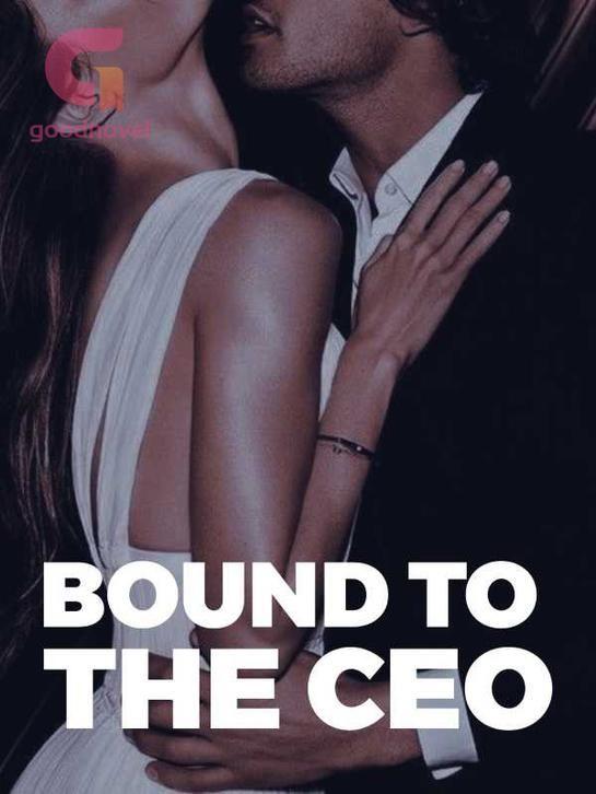 Bound to the CEO's Book Image