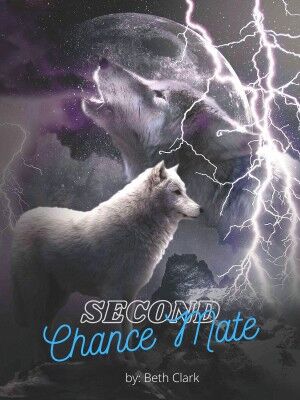 Second Chance Mate's Book Image