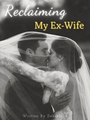 Reclaiming My Ex-Wife's Book Image