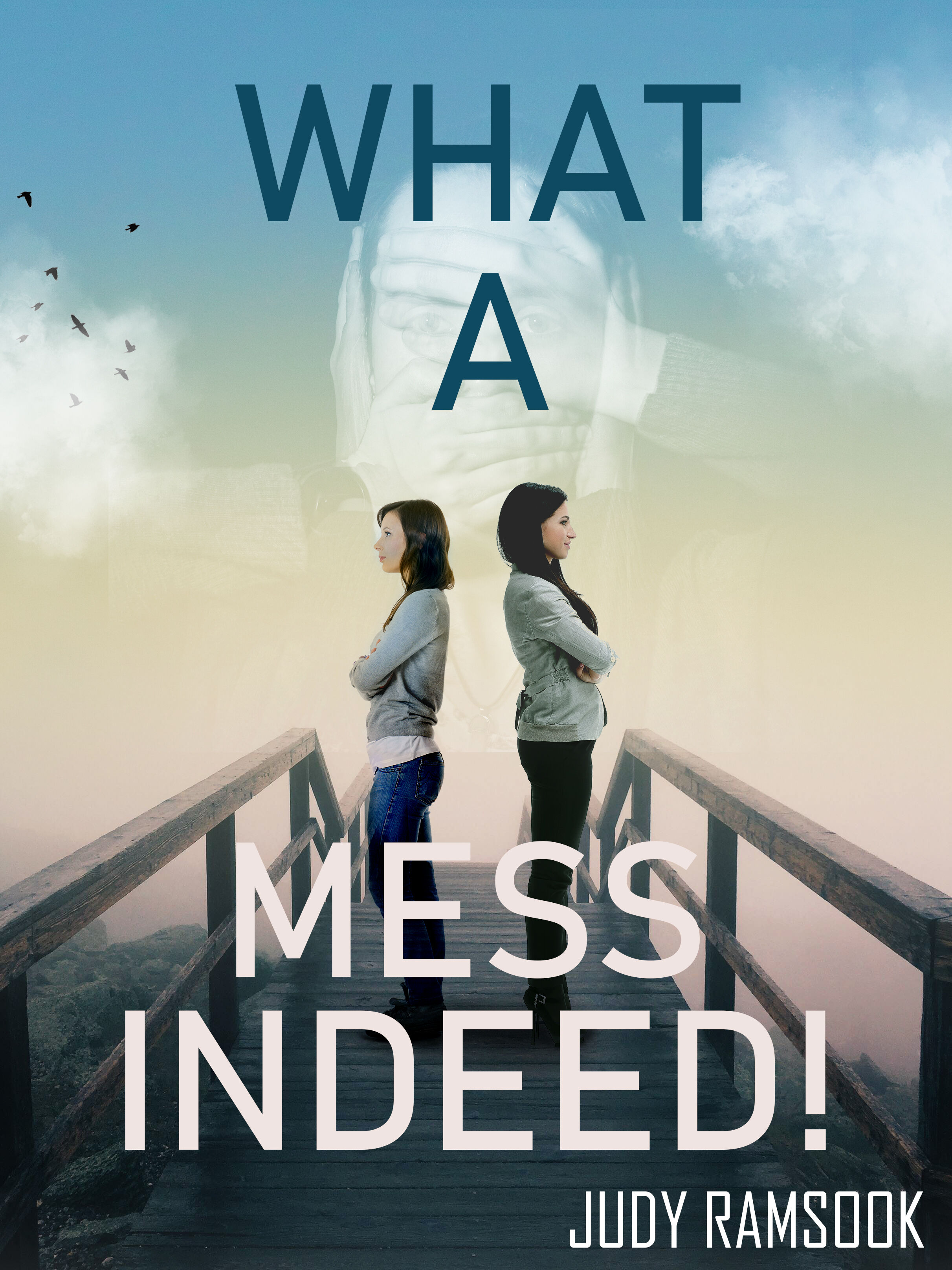 What A Mess Indeed!'s Book Image