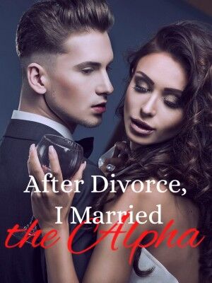 After Divorce, I Married the Alpha's Book Image