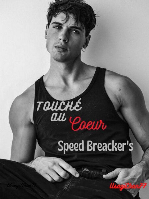 Touch&eacute; au c&oelig;ur : Speed Breaker's's Book Image