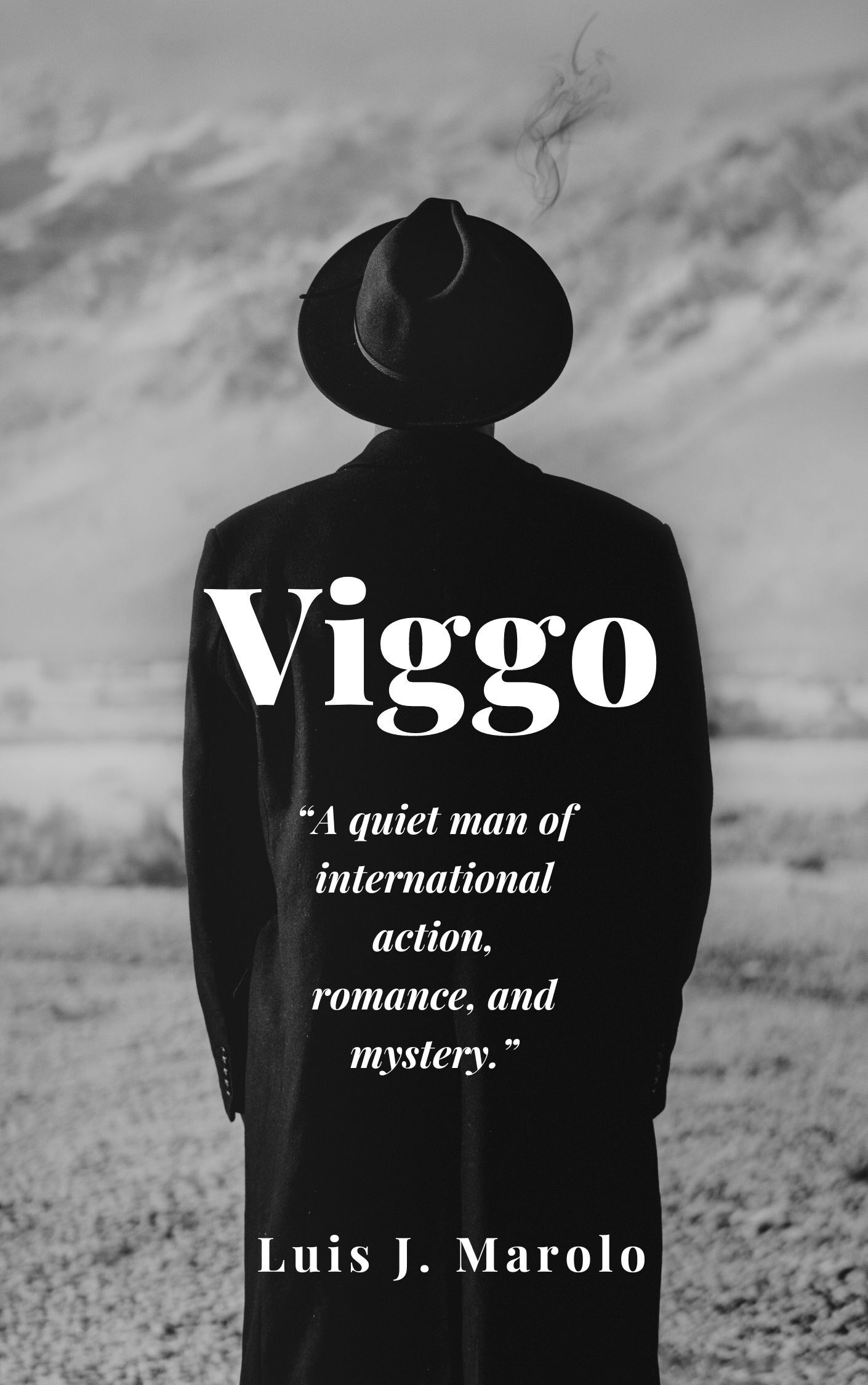 Viggo's Book Image
