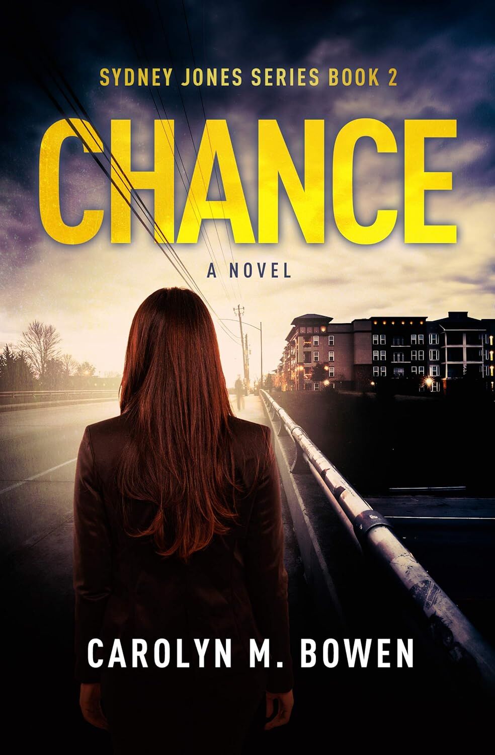 Chance's Book Image