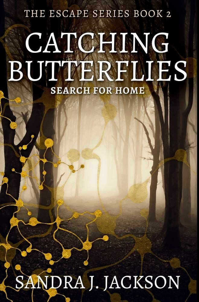 Catching Butterflies's Book Image