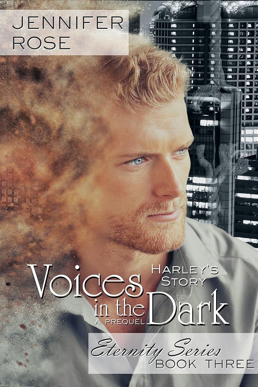 Visions in the Dark's Book Image