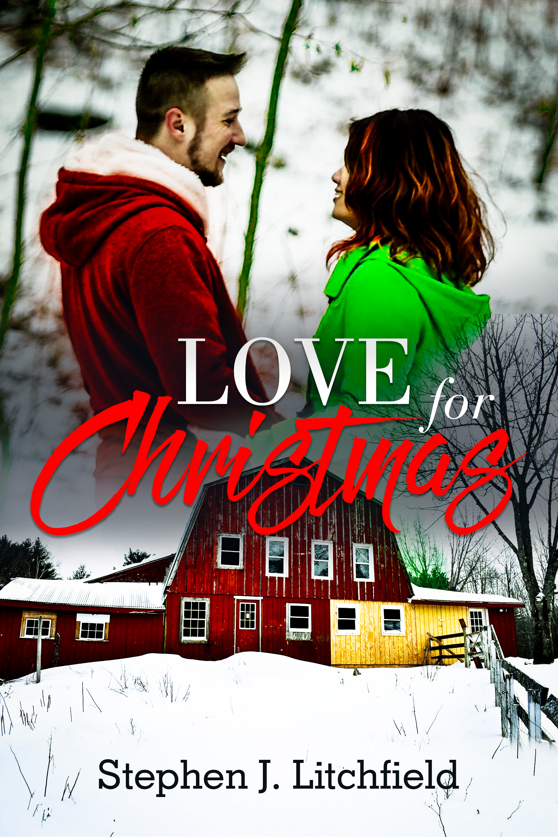 Love for Christmas's Book Image
