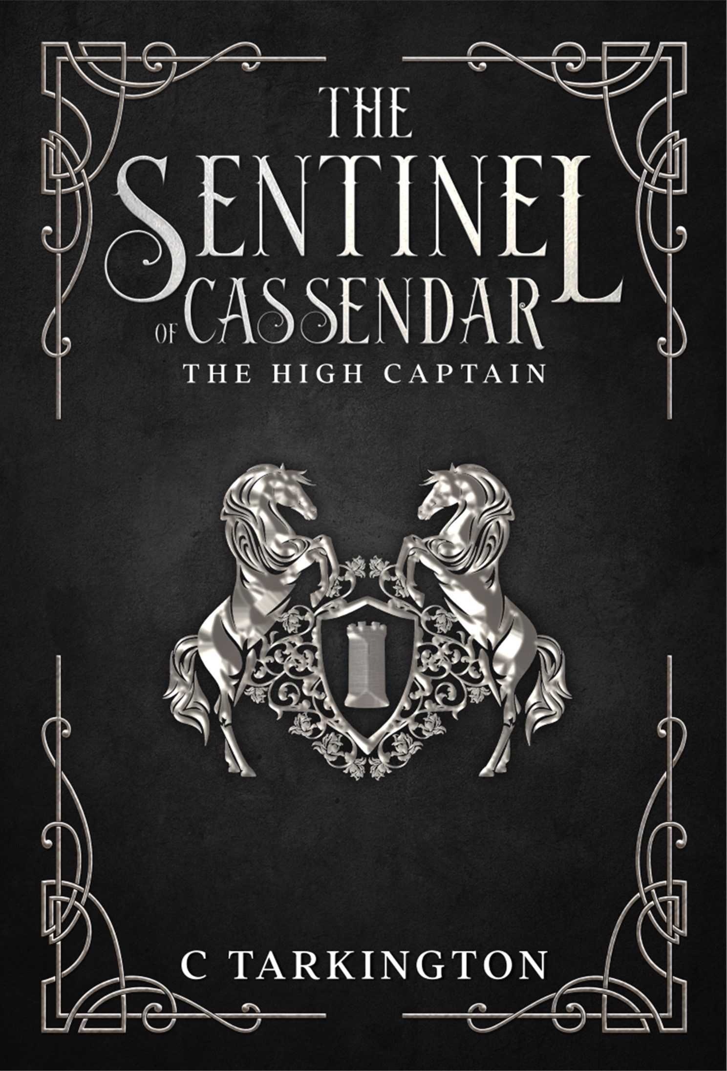 The Sentinel of Cassendar: The High Captain's Book Image